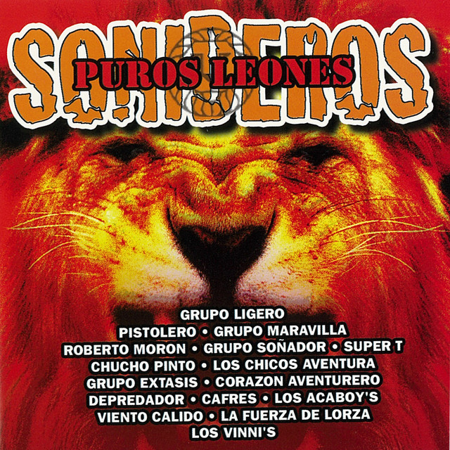 Puros Leones Sonideros cover