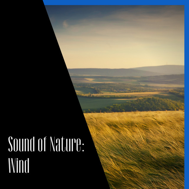 Sound of Nature: Wind - Album by ASMR Wind Channel | Spotify