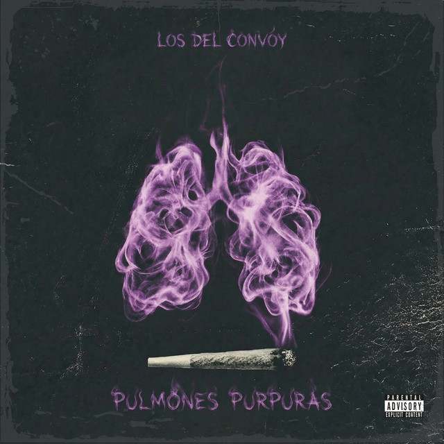 Pulmones Purpuras