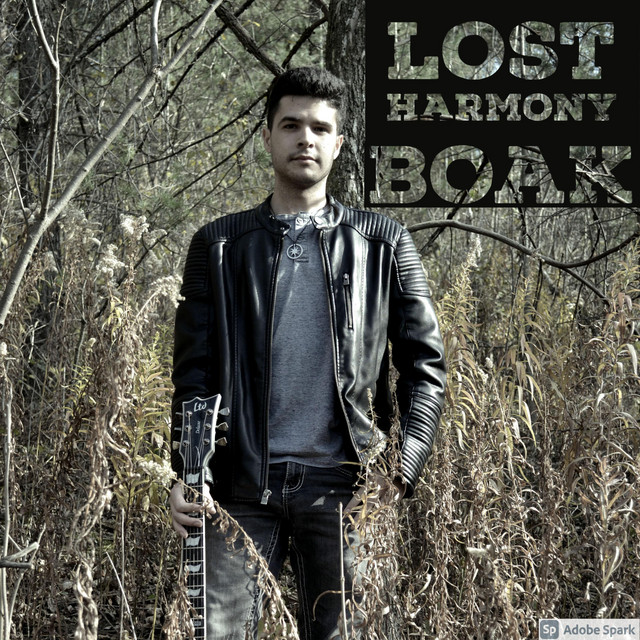 Lost Harmony cover