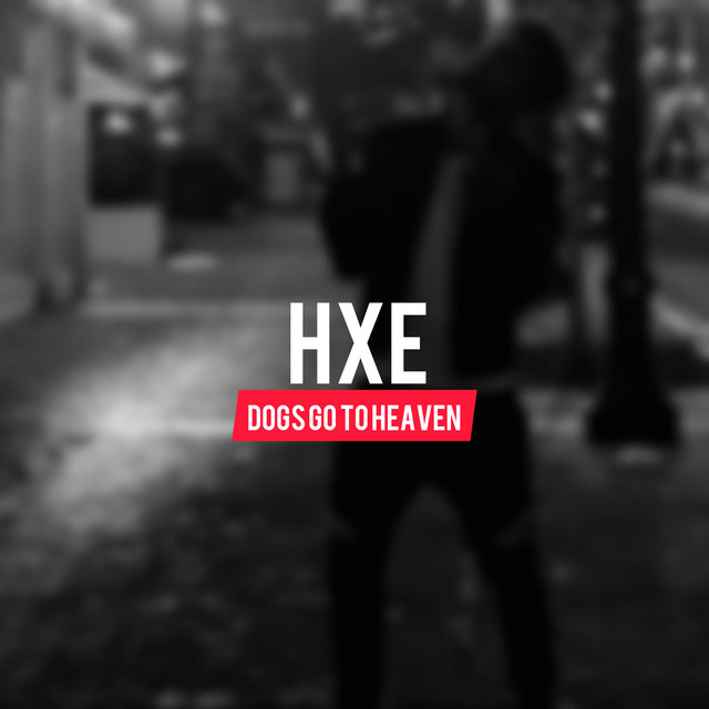 Dogs Go To Heaven