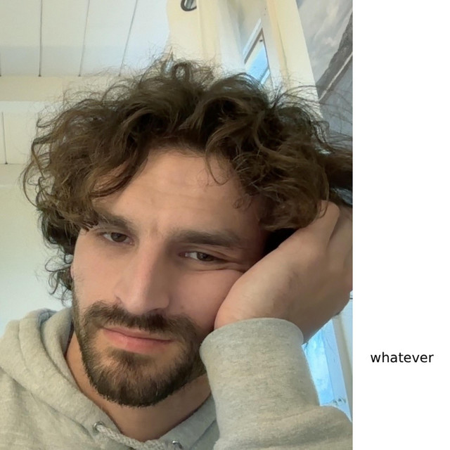 Whatever cover art