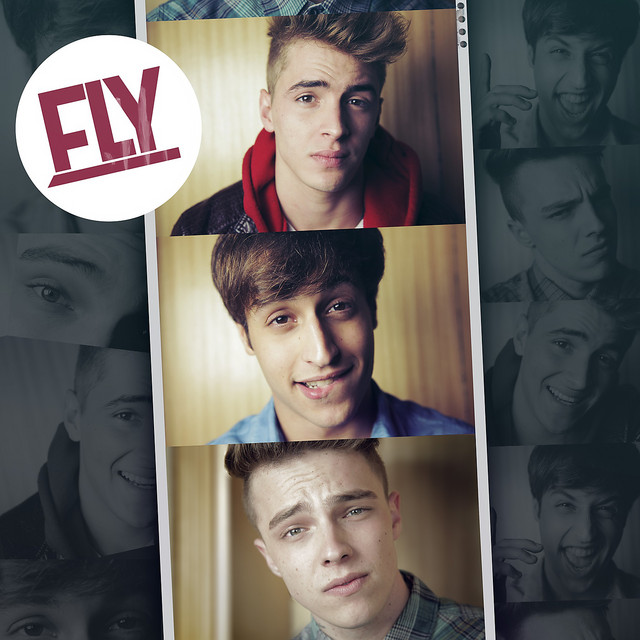 Fly cover art