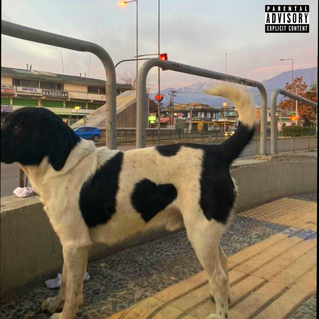 Como? cover art