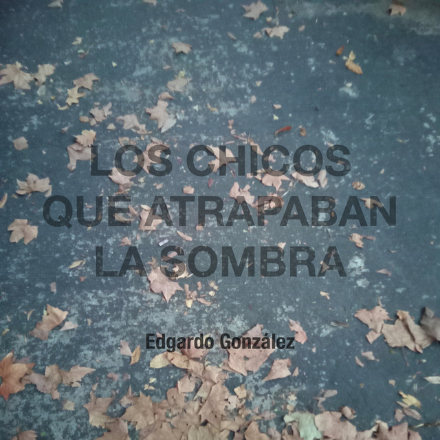 Los chicos que atrapaban la sombra