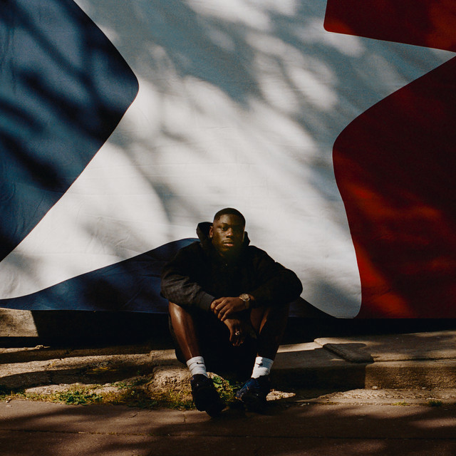 Savage album image