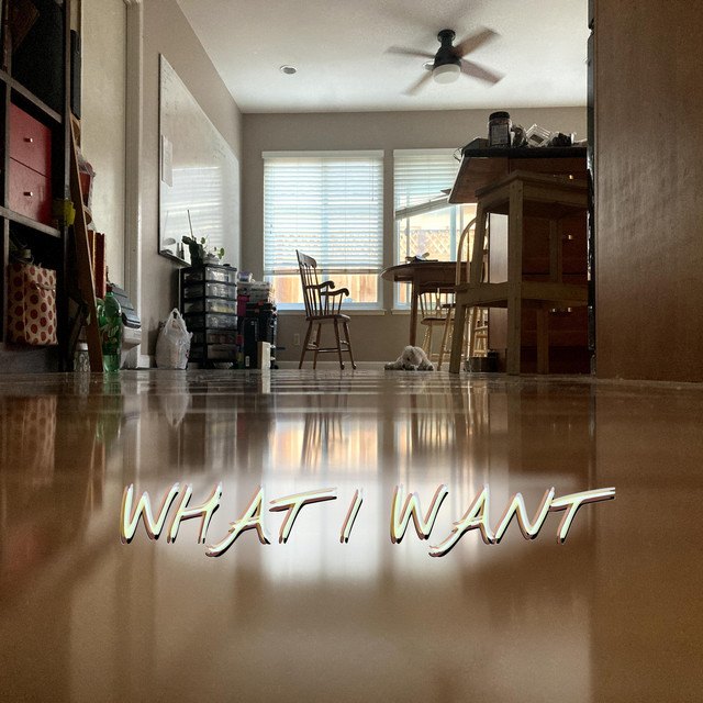 What I Want cover art