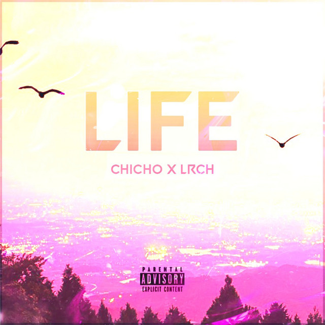 Life cover art