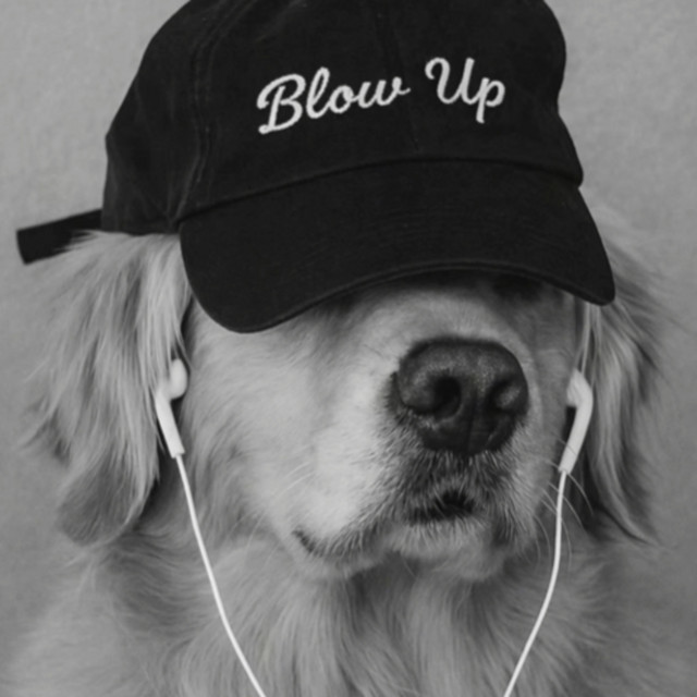 Blow Up cover art