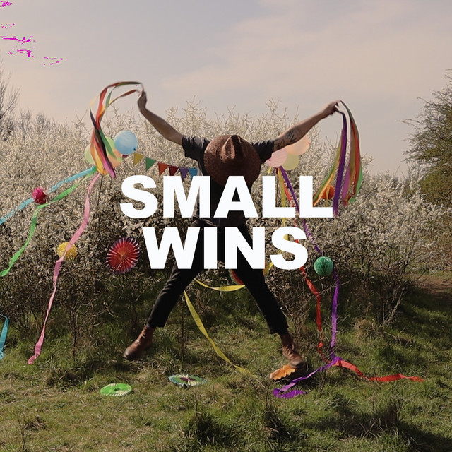 Small Wins by Dekker
