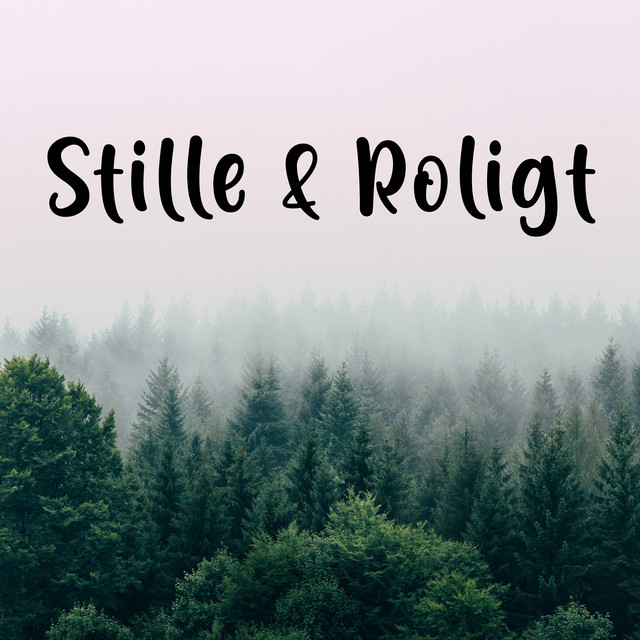 Siger Ingenting