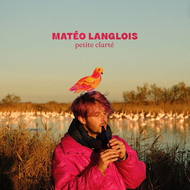 Pochette de Les Flamands Roses