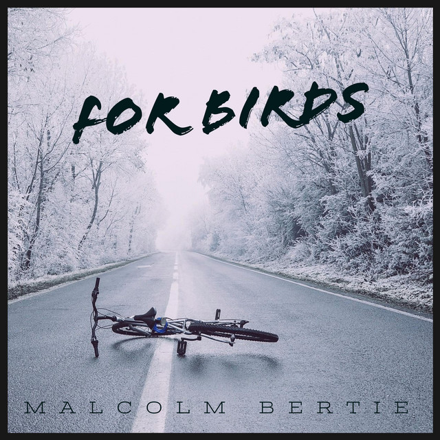 For Birds cover art