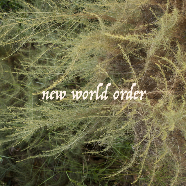 New World Order cover art