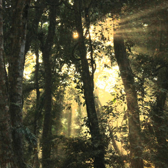 The Garden cover art