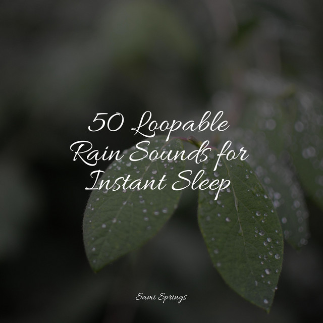 50 Calming Sounds of Rain for Sleep - Album by White Noise Relaxation ...