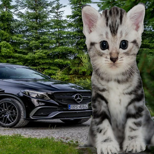 gle