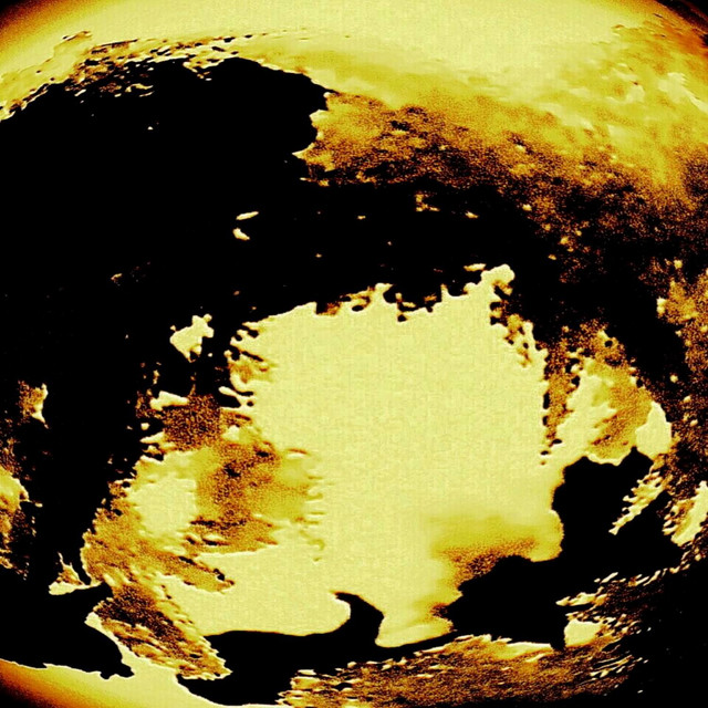 Human cover art