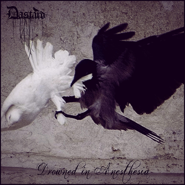 Drowned in Anesthesia cover art
