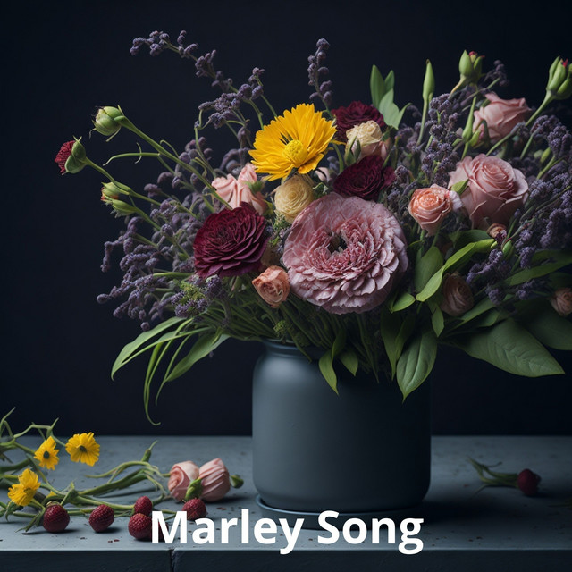 Marley Song