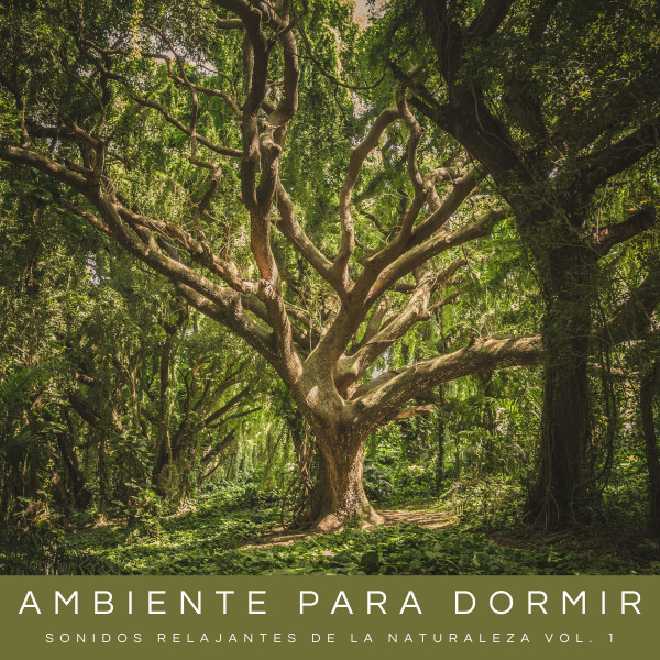 Ambiente Para Dormir: Sonidos Relajantes De La Naturaleza Vol. 1 cover art