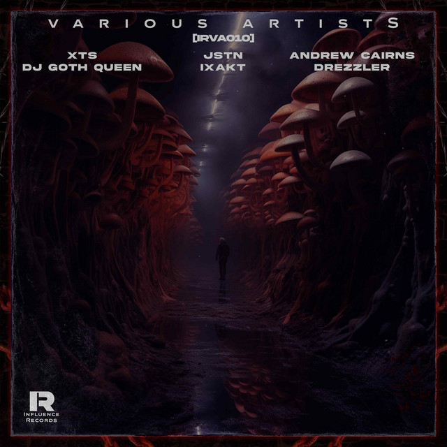 INFLUENCE VARIOUS ARTISTS 010 cover art