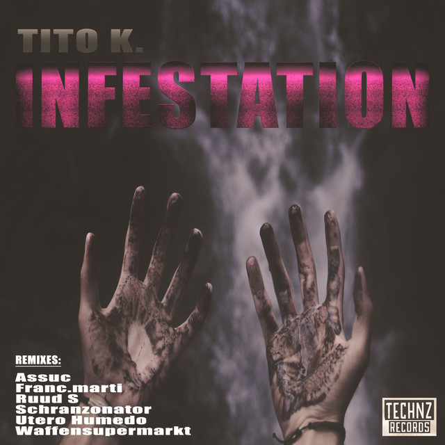 Infestation - Schranzonator Remix cover art