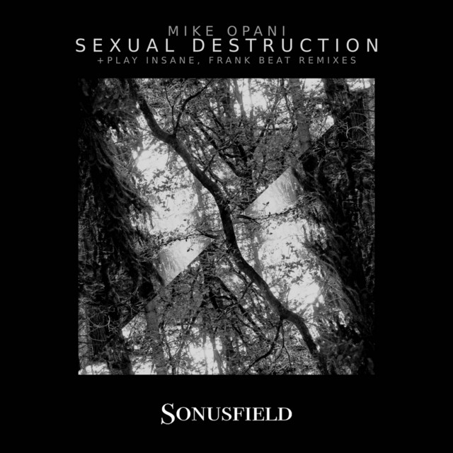 Sexual Destruction - Frank Beat Remix cover art