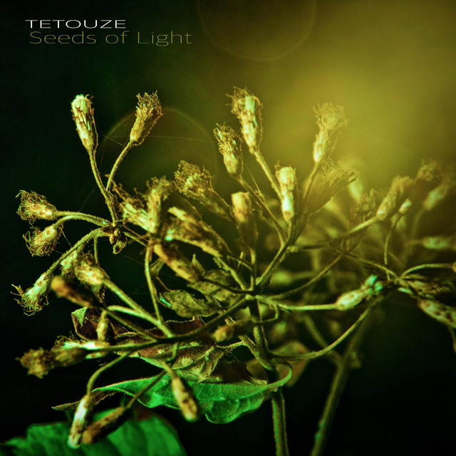 Seeds of Light