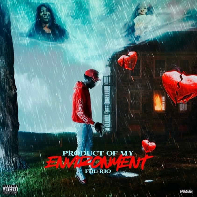 Product Of My Environment cover art