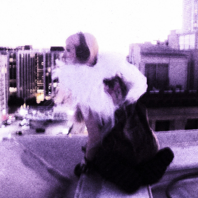 undefined album image