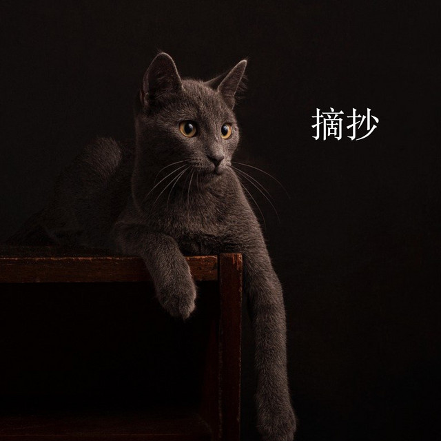 褚美娟