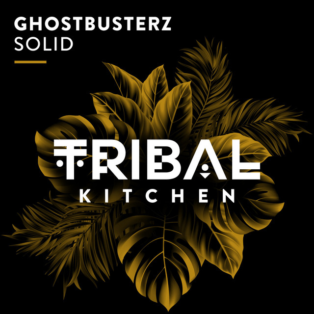 Solid - Extended Mix album art
