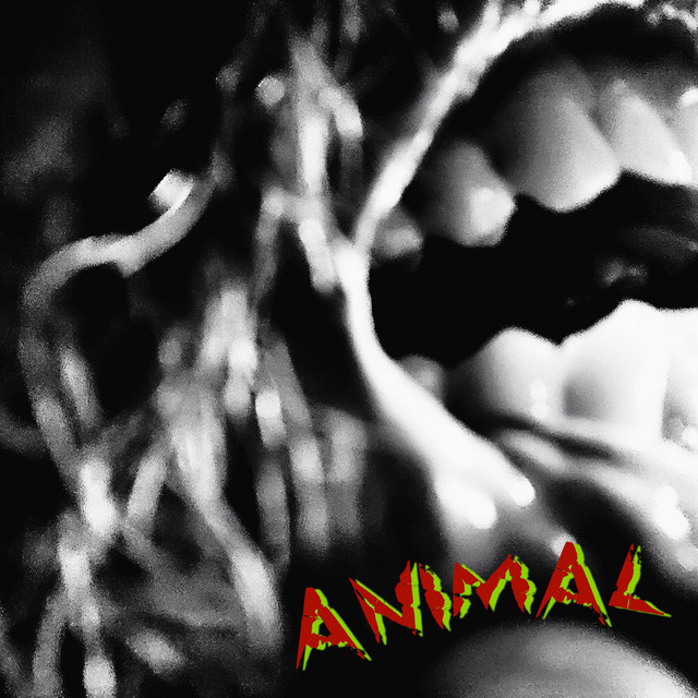 Animal cover