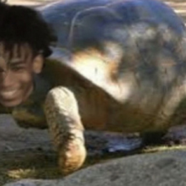 You're too slow cover art