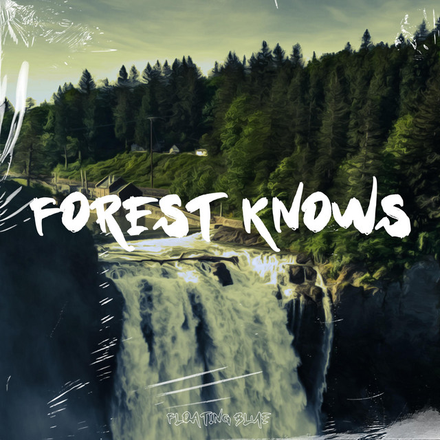 Forest Knows cover art