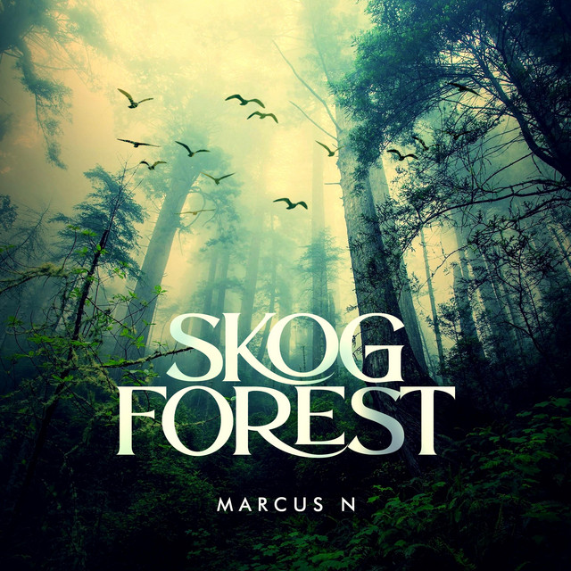 Skog cover art
