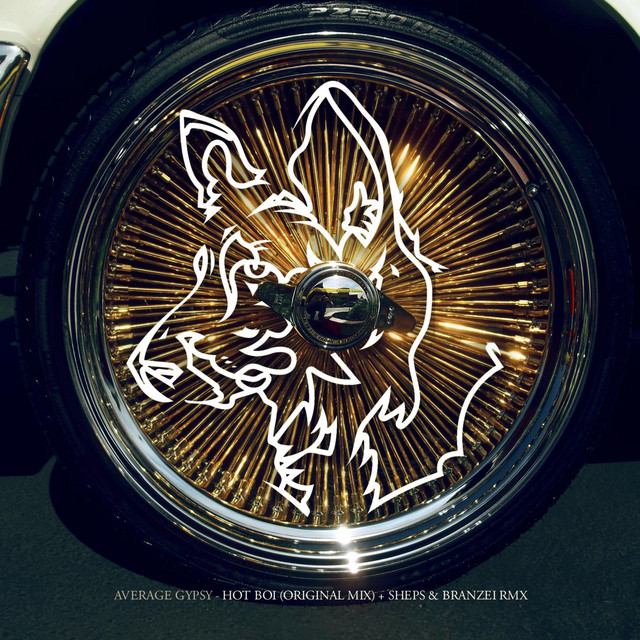 Hot Boi cover art