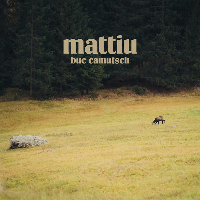 Buc Camutsch cover