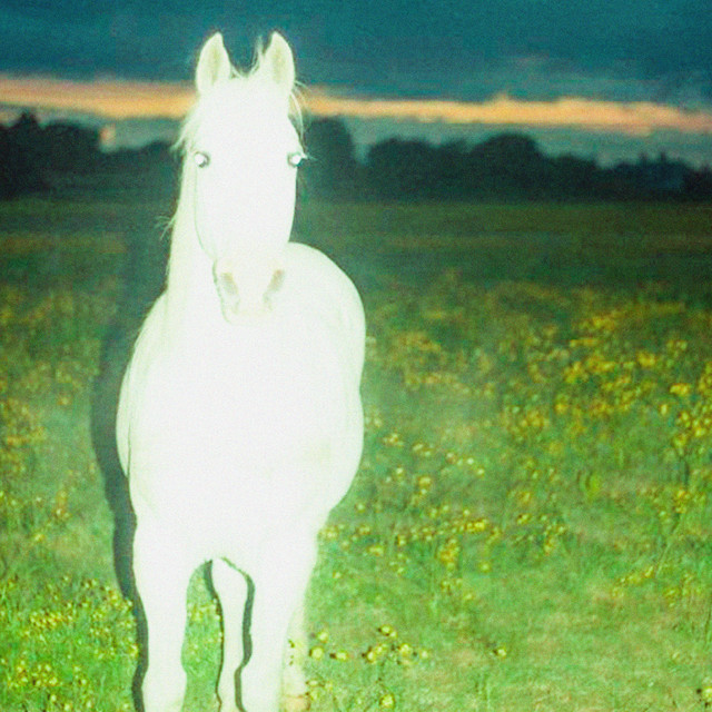 were so beautiful in the dirt cover art