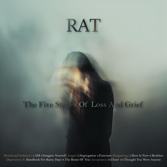 Denial and Isolation: AM cover art