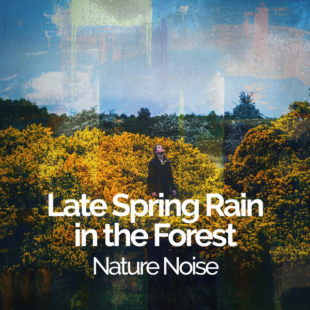 Late Spring Rain in the Forest: Nature Noise - Album by Natural Forest ...