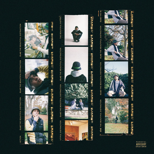 The Beautiful Distraction cover art