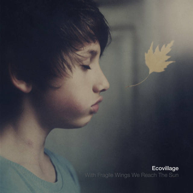 With Fragile Wings We Reach the Sun cover art