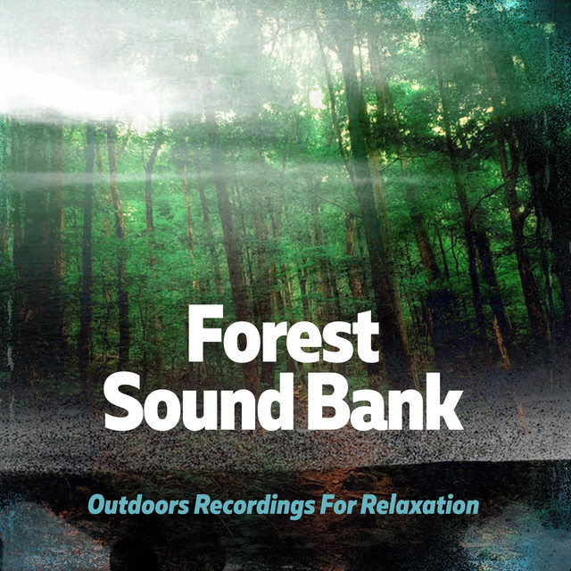 Forest Sound Bank: Outdoors Recordings For Relaxation - Album by