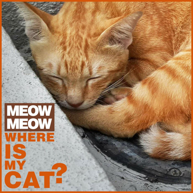 Meow Meow Where Is My Cat Single By Pranaw Gorkhali Pradhan Spotify