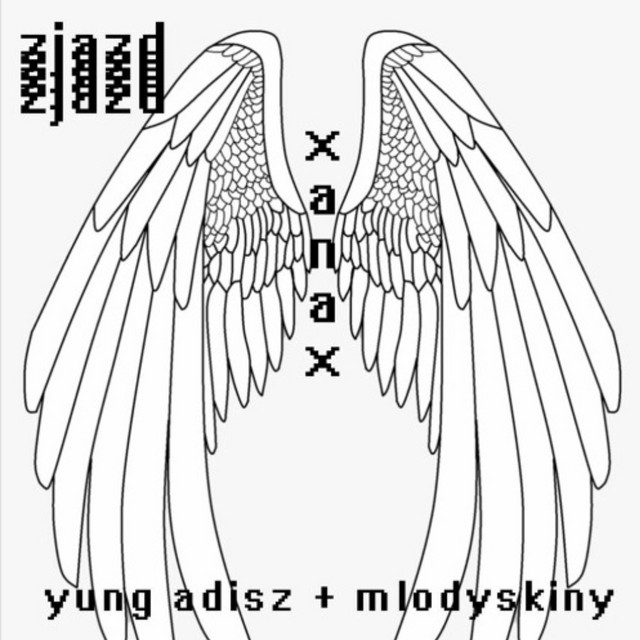 zjazd yung adisz cover art