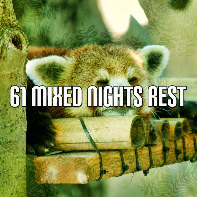 61 Mixed Nights Rest cover art
