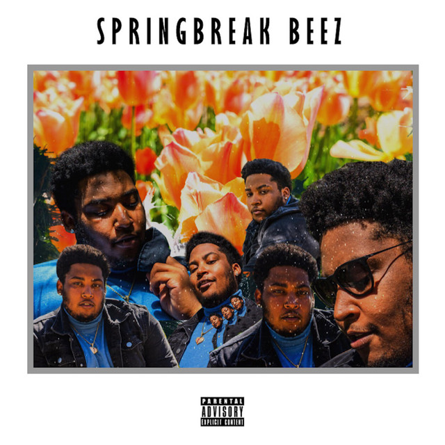 Springbreak Beez cover art