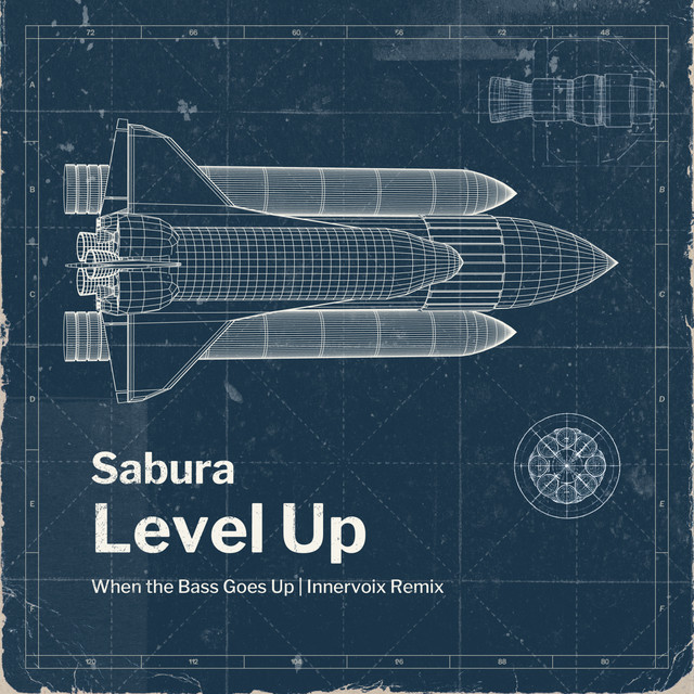 Level Up - Extended Mix album art